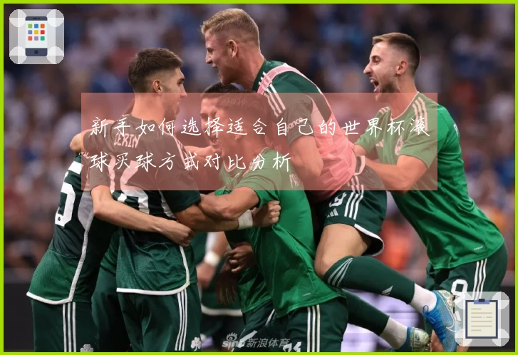 新手如何选择适合自己的世界杯滚球买球方式对比分析