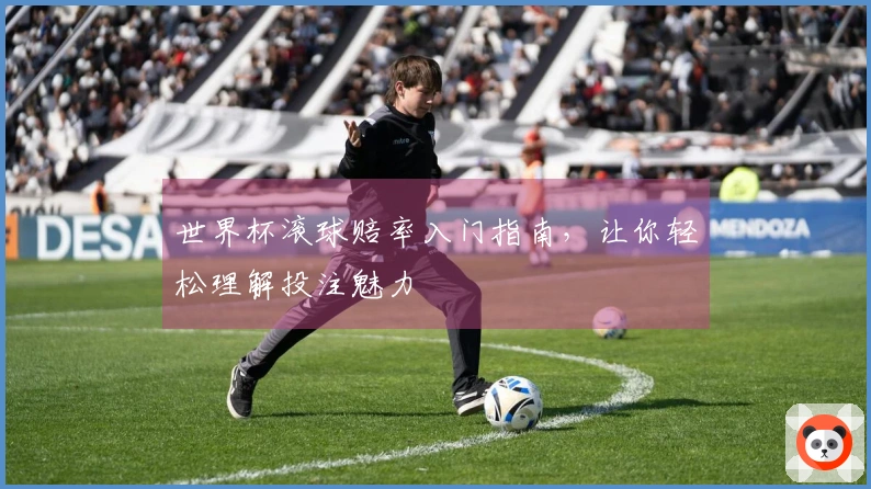 世界杯滚球赔率入门指南，让你轻松理解投注魅力
