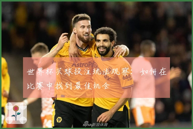 世界杯买球投注玩法观察：如何在比赛中找到最佳机会