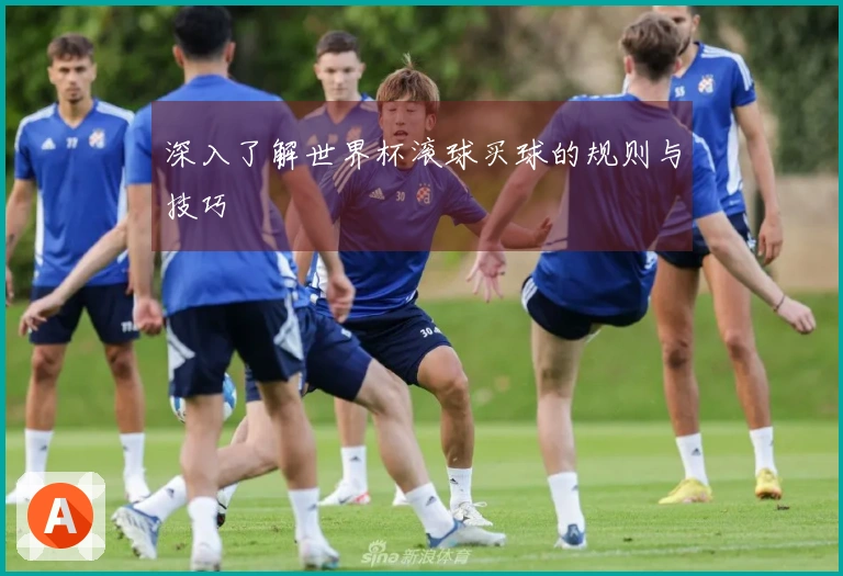 深入了解世界杯滚球买球的规则与技巧
