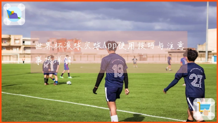 世界杯滚球买球App使用技巧与注意事项详解