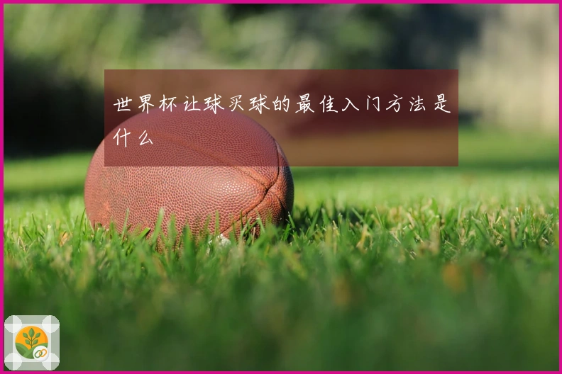 世界杯让球买球的最佳入门方法是什么